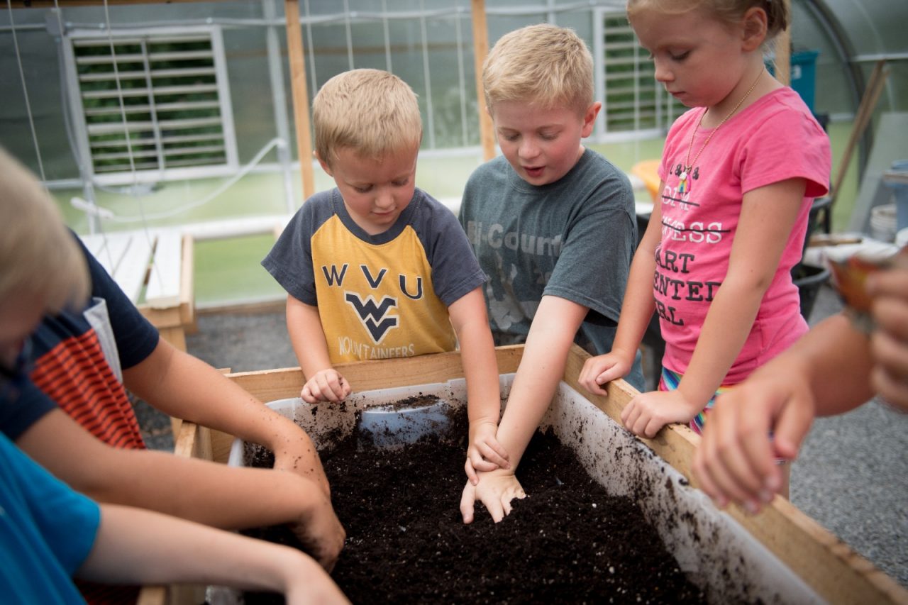 Crellin小学的孩子们在温室里种花。