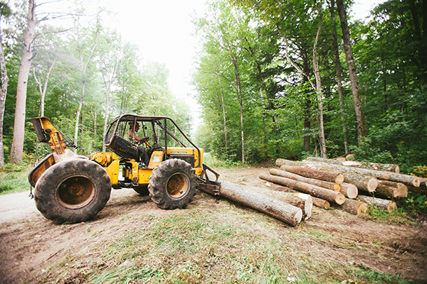 梅诺米尼:可持续木材采伐磨坊