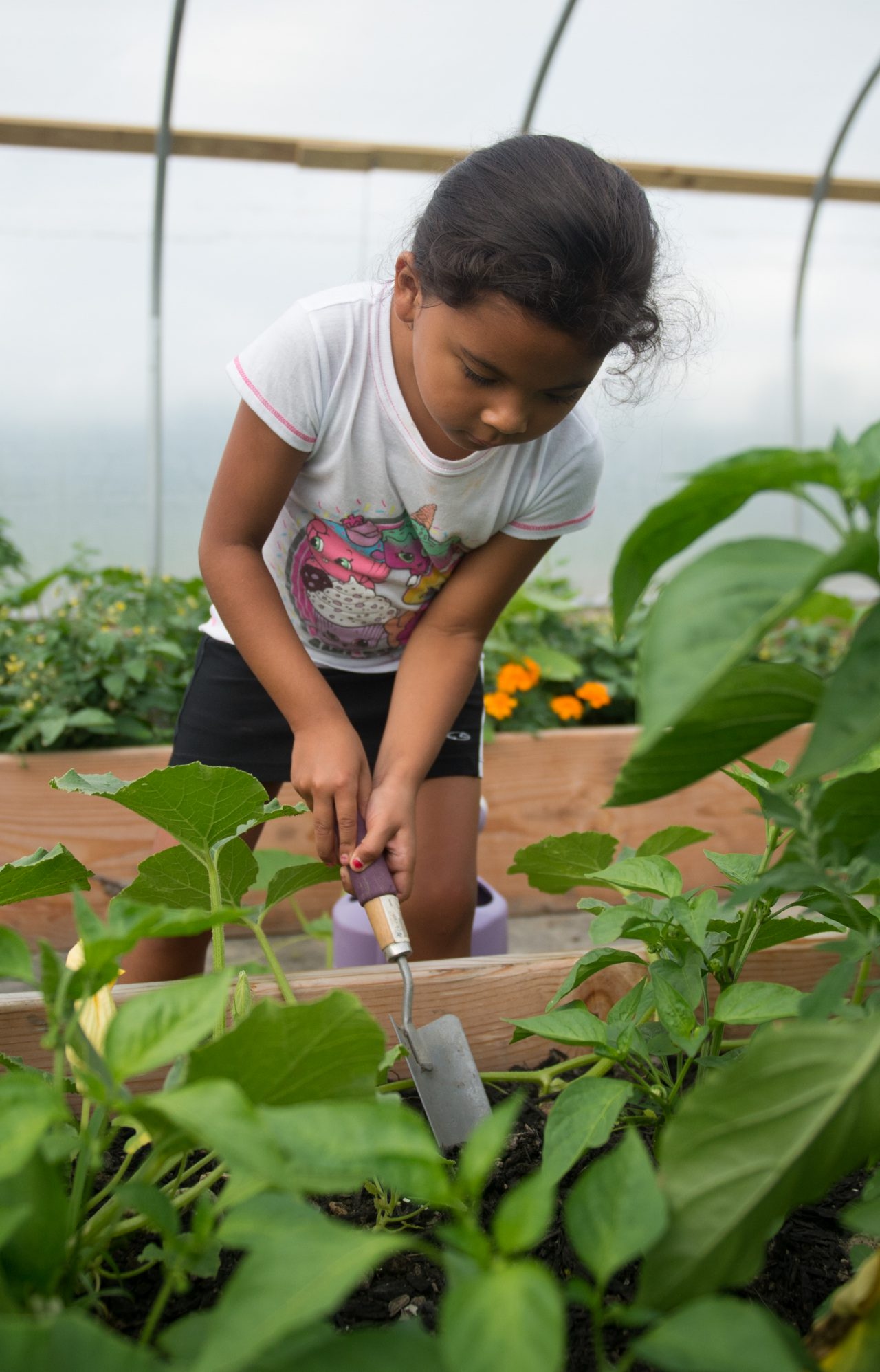 6岁的Azzilou Williams在卡特劳古斯儿童早期学习中心的棚屋里挖洞。这个草棚是“食物就是我们的药物”项目的一部分，这里种植着一些传统作物，如熊豆和野生草莓。